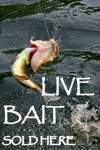 Live Bait- 24"w x 36"h 4mm Coroplast Insert