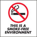 This Is A Smoke-Free Environment- 6"w x 6"h Decal