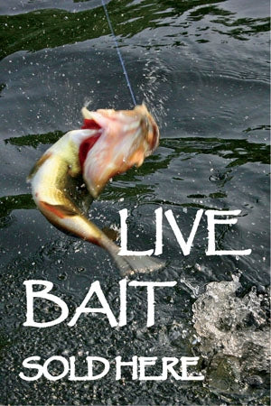 Reusable Static Cling- "Live Bait"